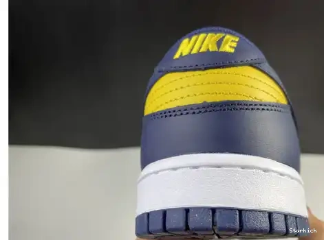 Michigan Nike Dunk DD1391-700 Low 0504